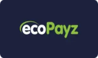 ecoPayz at casino SpinKong