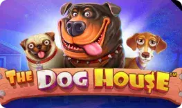 The Dog House slot SpinKong casino